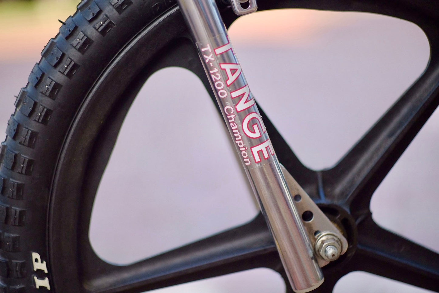Mongoose Motomag 1979 short 
shuhari Liberty force custom