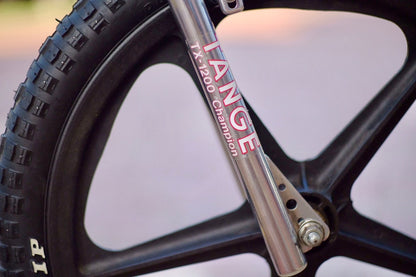 Mongoose Motomag 1979 short 
shuhari Liberty force custom